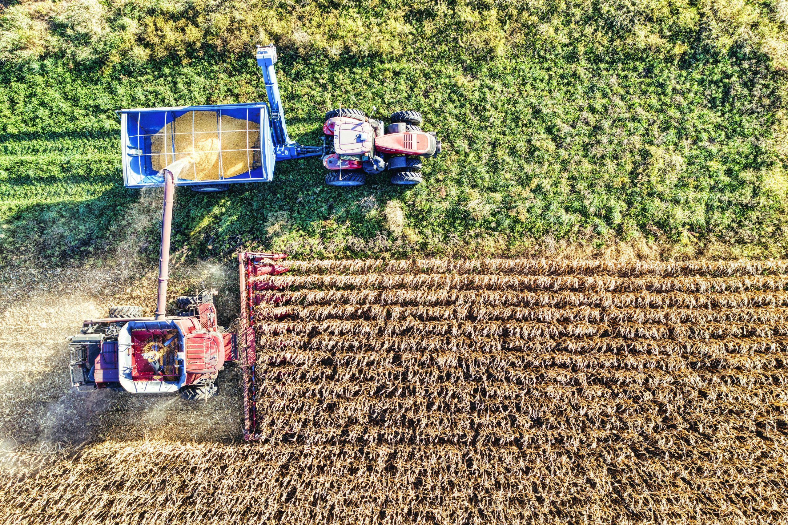 Market Analysis for Sustainable Agriculture and Food