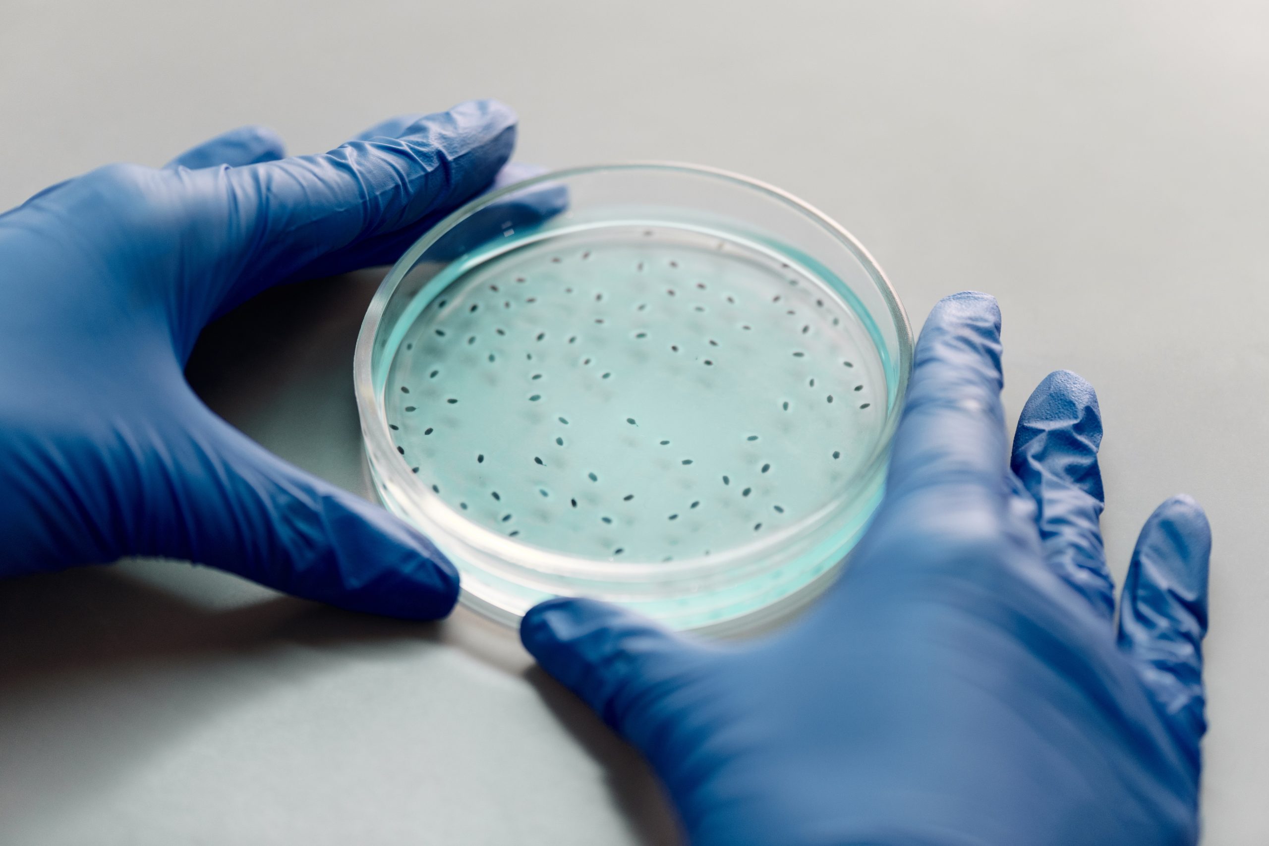 BSGN Life Sciences Accelerator