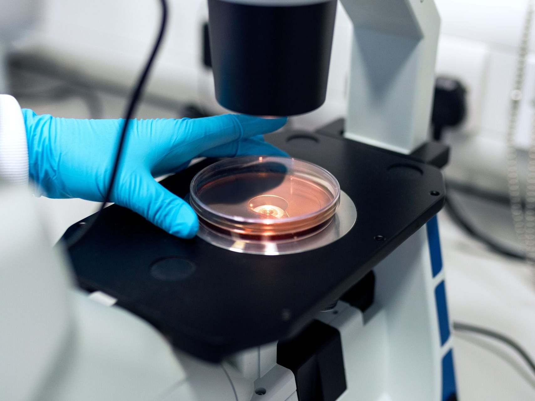 BSGN Life Sciences Accelerator
