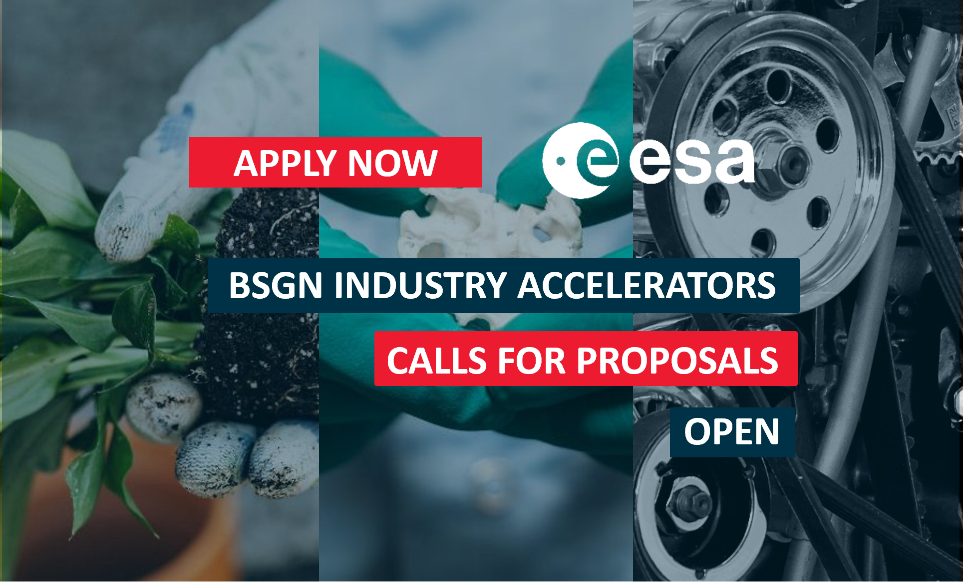 BSGN Calls Open website