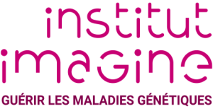 logo-institut-imagine_0